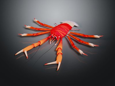 Australian rock lobster Macrobrachium prawn black and white lobster crayfish green lobster red crab shrimp European blue dragon 3d model