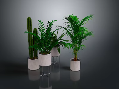 Indoor Green Plants Various Types in White Pots with Stands and Lush Foliage 3d model