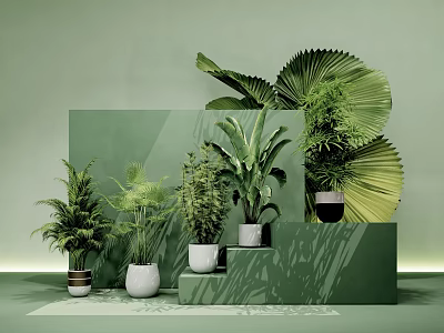 Various Potted Plants in White and Black Pots on Green Display Stand with Green Backdrop 3d model