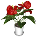 Decorative Potted Plant with Red Flowers and Green Leaves in White Pot