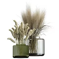 Decorative Ornament Set with Green and Transparent Vases Dried Grasses and Wheat Stems