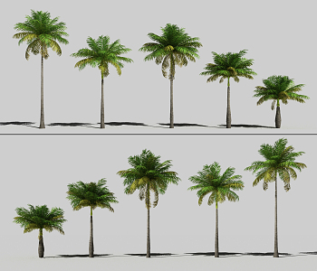 The Modern Tree 3d model