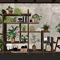 Indoor Bonsai And Potted Plants Display On Wooden Shelf With Various Greenery And Books