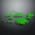 Vibrant Green Plants Featuring Various Sizes Shapes and Lush Leaves on Dark Background