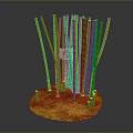 Green Bamboo Plants With Long Stems Growing On Orange Soil Base