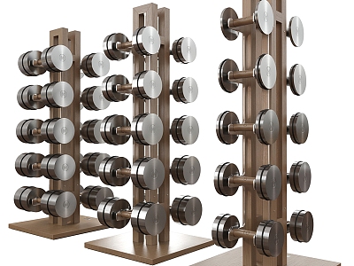 Fitness Equipment Dumbbell model