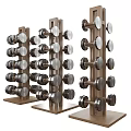 Fitness Equipment Dumbbell Rack With Organized Metal Weights For Home Gym Workout