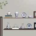 Blue and White Decorative Ceramic Vessels on Wooden Shelf with Books and Green Plant