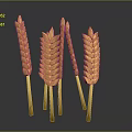 Multiple Fresh Shiny Yellow Plump Wheat Ears On Dark Background