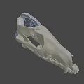 3D Rendered Animal Skull Anatomy Showing Internal Vascular System Details
