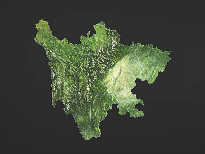 Decorative Green Map Outline Wall Decor Featuring Terrain Texture on Dark Background 3d model