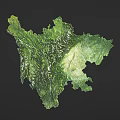 Decorative Green Map Outline Wall Decor Featuring Terrain Texture on Dark Background 3d model
