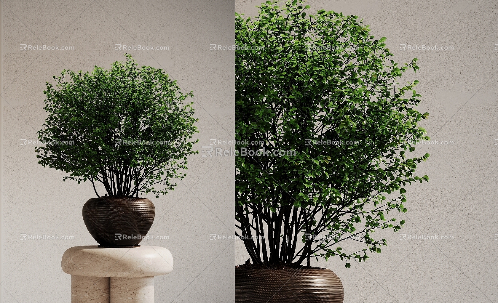 Modern potted plant landscape green tree flower bowl 3d model