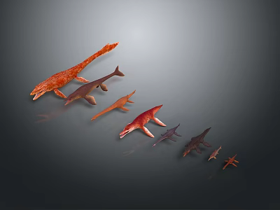 Prehistoric Aquatic Animals In Various Colors Arranged In A Curve On Gray Gradient Background 3d model