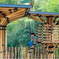 Wooden Pergola Structure Over Pond With Green Trees Grass And Blue Sky