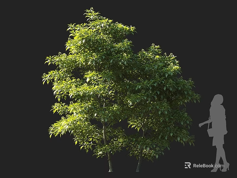 Lush Green Shrubs With Dense Foliage And Human Silhouette For Size Reference 3d model 