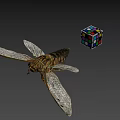 Detailed Cicada With Transparent Wings And Colorful Rubik's Cube On Gray Background