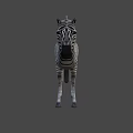 Detailed Realistic Zebra With Black And White Stripes Standing In Studio