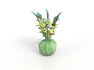 Indoor Decorative Plant with Green and Yellow Leaves in Green Pumpkin Shaped Vase 3d model