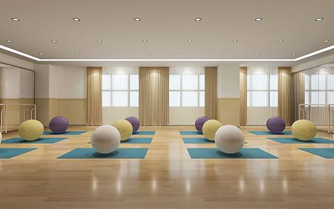 Modern Yoga Room Yoga Room Gym 3d model