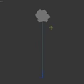 Tall Tree With Lush Green Foliage And Dense Branches Isolated Against Gray Background