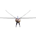 Detailed Blue Body Dragonfly with Transparent Wings Brown Head and Compound Eyes