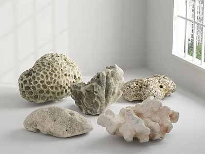 Modern Stone Coral Stone 3d model