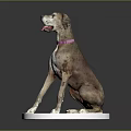 Sitting Dog With Pink Collar And Tag On White Circular Base Against Grey Background