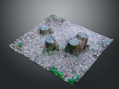 Wooden Tree Stumps Display Natural Scene With Fallen Leaves And Green Plants 3d model