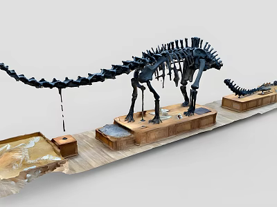 Modern Fossil Dinosaur Skeleton 3d model