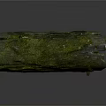 Natural Weathered Wooden Log with Green Moss Covered Surface and Natural Holes