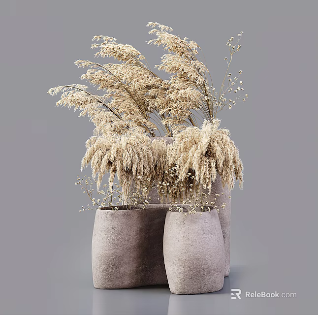 Dried Pampas Grass Arrangement In Gray Clay Vases For Home Decor 3d model 