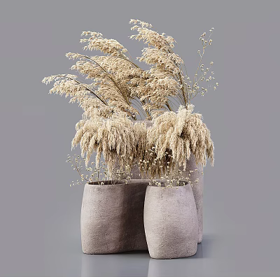 Ji Ji Vase Dried Flower Potted Plant Ornaments 3d model