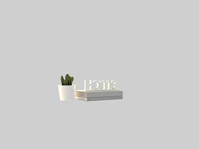 Cactus Plant in White Pot with HOME Decor and Stack of Books 3d model