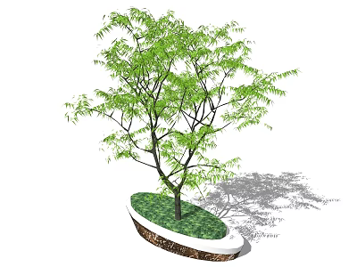 Oval Shaped Tree Pit With Green Leaves Tree And White Border Soil Base 3d model
