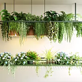 Modern Hanging Planter Chandelier With Lush Green Plants For Interior Decoration