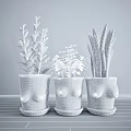 Bonsai Potted Plants with Unique Chest Shaped Pink White Black Pots and Green Leafy Foliage