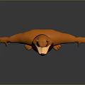 Cartoon Bear 3D Game Character With Orange Fur Light Colored Chest And Outstretched Arms
