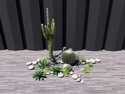 Tall Cactus And Barrel Cactus With Small Stones Green Plants On Gray Wooden Floor 3d model