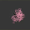 Vibrant Pink Flowering Tree With Twisted Trunk And Stone Base On Dark Background
