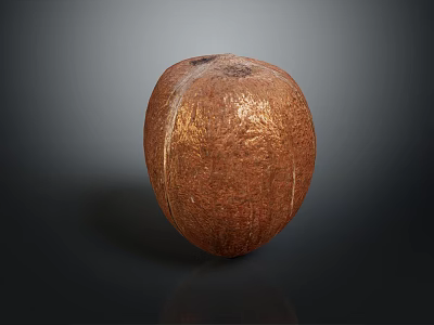 Brown Coconut with Textured Surface on Dark Background Showing Reflection 3d model