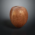 Brown Coconut with Textured Surface on Dark Background Showing Reflection 3d model