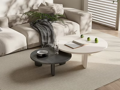 Modern Living Room Round Black White Coffee Tables With Open Book Green Apples Bowl 3d model