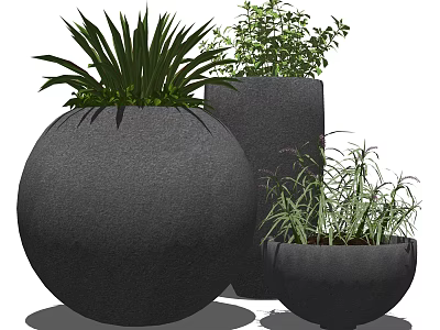 Modern Bonsai Potted Plants with Dark Concrete Pots and Lush Greenery 3d model