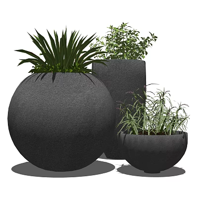 Modern Bonsai Potted Plants with Dark Concrete Pots and Lush Greenery 3d model