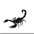 Realistic Black Scorpion Reptile With Shiny Exoskeleton Claws And Tail