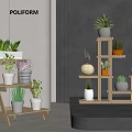 Potted Bonsai Plants On Multi Tiered Wooden Stands In Modern Interior