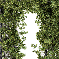 Modern Arch Vine Corridor 3d model