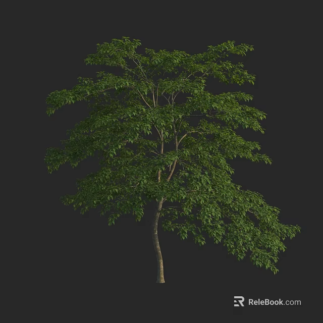 Lush Green Arbor With Dense Foliage And Straight Trunk Structure 3d model 