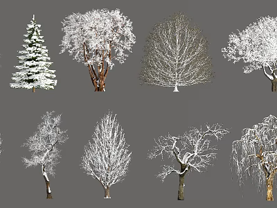 Diverse Snow Covered Trees In Different Winter Forms And Natural Landscapes 3d model